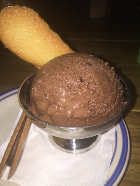 Chocolate Chocolate Chip Ice Cream